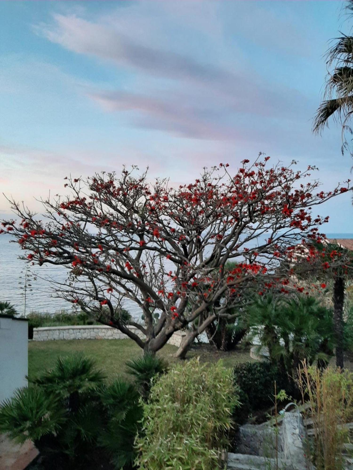 Appartamento In Villa Al Mare - Baia Di Arcile Brucoli Exteriér fotografie